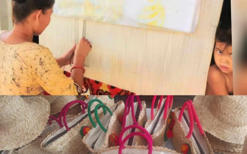 आत्मनिर्भर बन्दै सिन्धुपाल्चोकका महिलाहरु