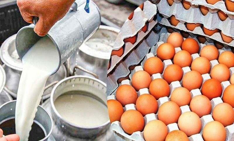 दुध र अण्डा उत्पादनमा आत्मानिर्भर बन्यो नवलपुर