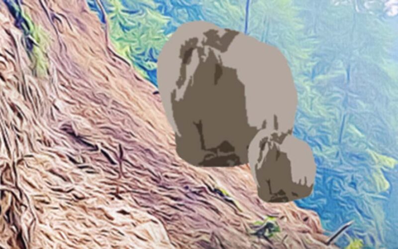 बाढीपहिरोका कारण तीन प्रदेशका नौ राजमार्ग अवरुद्ध
