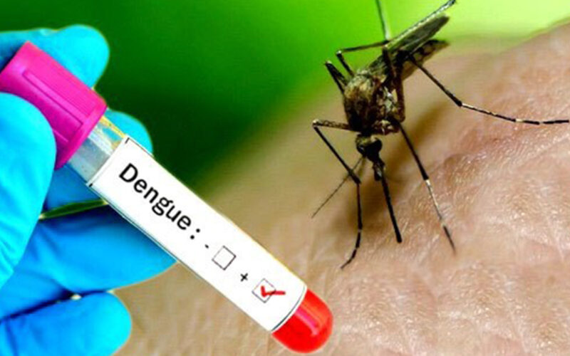 बागलुङमा डेंगु बढेपछि ‘खोज तथा नष्ट’ अभियान सञ्चालन