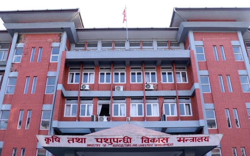 देशभर कृषि तथा पशुपालनमा क्षतिको विवरण सङ्कलन गरिँदै