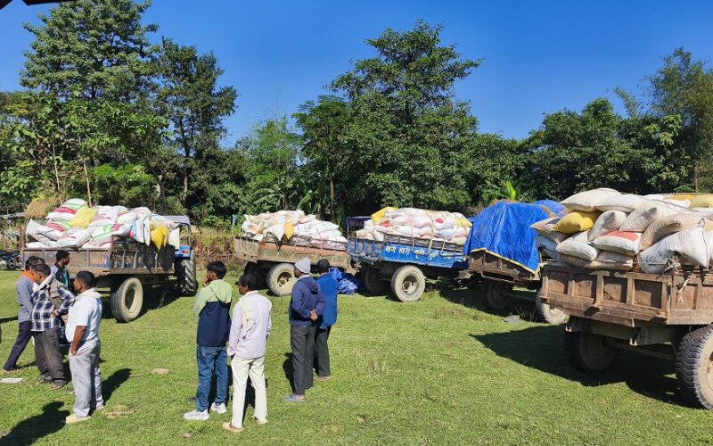 दाङमा खाद्यले धमाधम धान खरिद गर्न सुरु
