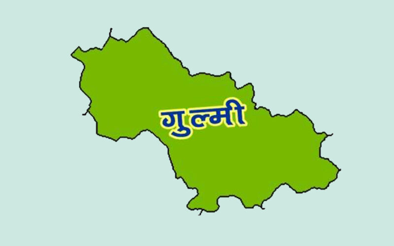 गुल्मीमा नाम्लाको पासो लाग्दा एक बालक घाइते