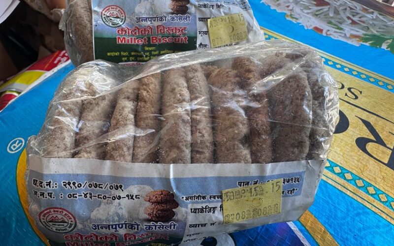 ‘कोदो गरिबको खाना’ भनेर हेप्ने दिन गए :  कोदोको  बिस्कुटको माग उच्च
