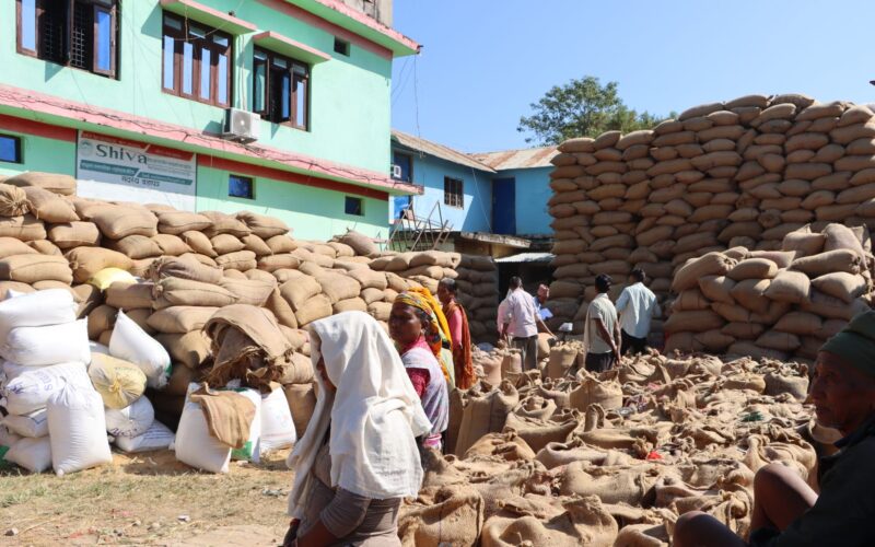 सहकारीलाई धान नबिक्ने चिन्ता