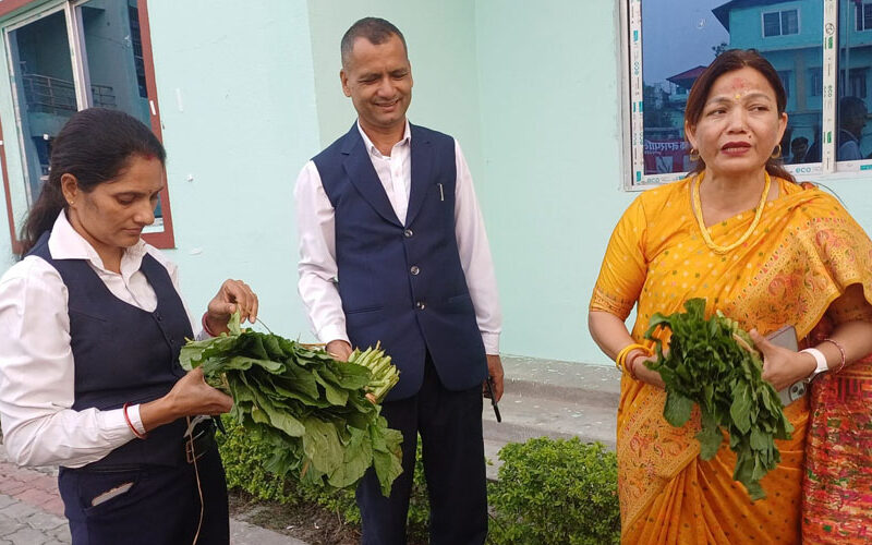 ९९ प्रतिशतभन्दा बढी विषादी भेटियो रायोको सागमा