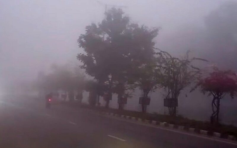 शीतलहरबाट तराई-मधेश क्षेत्रको जनजीवन प्रभावित