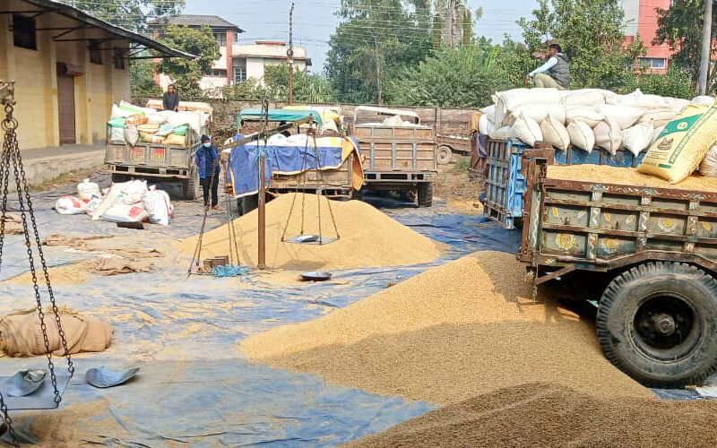 साढे सात हजार क्विन्टल धान खरिद