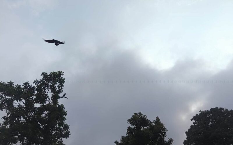 यस्तो छ आजको मौसम पूर्वानुमान