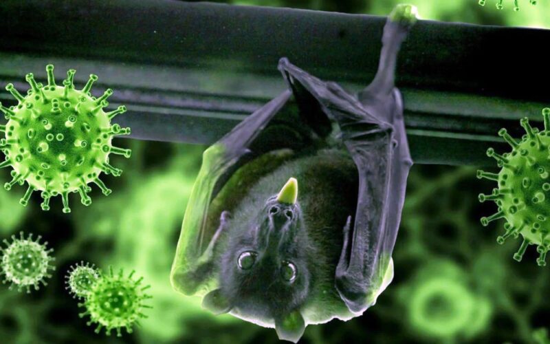 सङ्क्रमण रोक्न अन्तरिम निर्देशिका