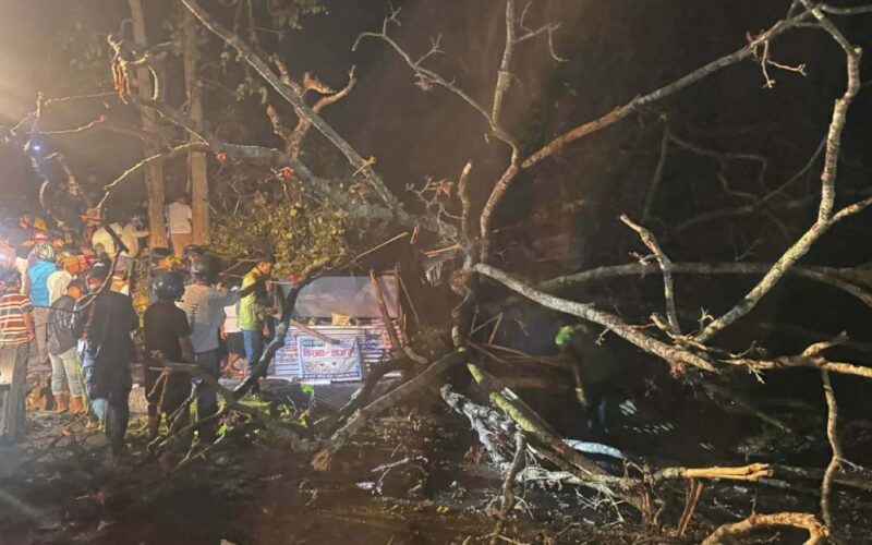 उदयपुरमा रुख ढल्दा दुईको मृत्यु