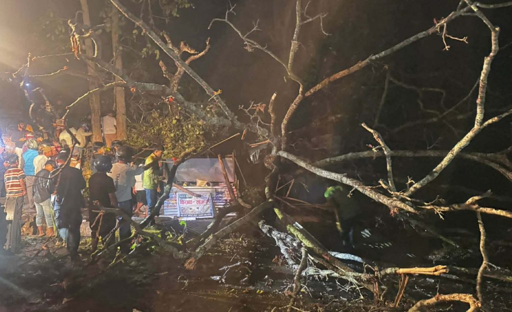 उदयपुरमा रुख ढल्दा दुईको मृत्यु