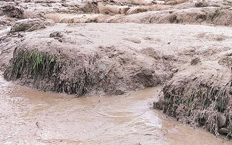 बाढीले बगाएको स्कुटी भेटियो, चालक बेखबर