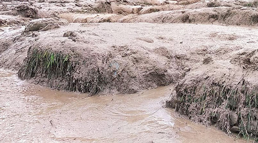 बाढीले बगाएको स्कुटी भेटियो, चालक बेखबर