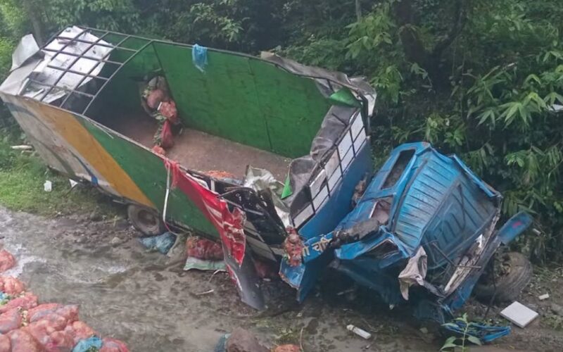मकवानपुरमा तरकारी बोकेको ट्रक दुर्घटना : एकजनाको मृत्यु, चालक घाइते